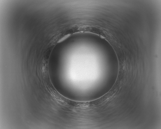 X0000064760914200602101219