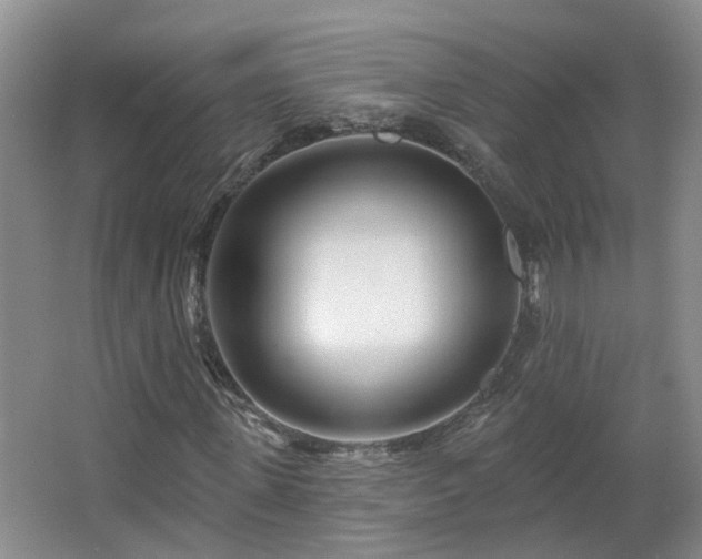 X0000064760915200602101219