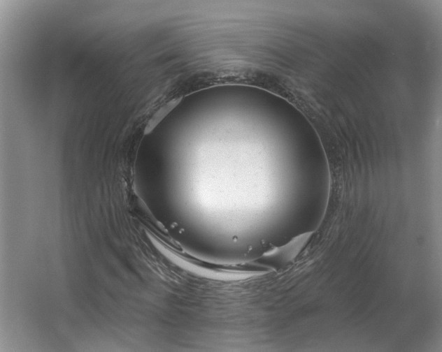 X0000064760916200602101219
