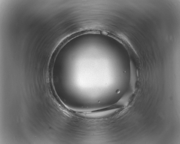 X0000064760924200602101219