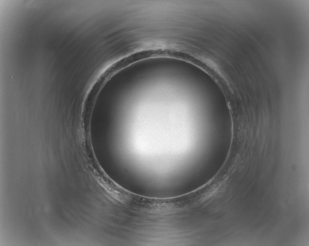 X0000064760927200602101219