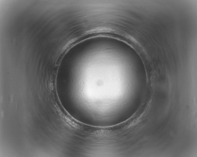 X0000064760929200602101219