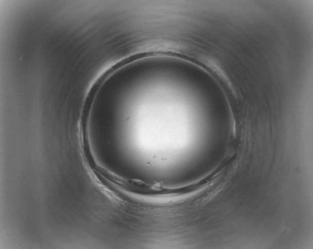 X0000064760936200602101219