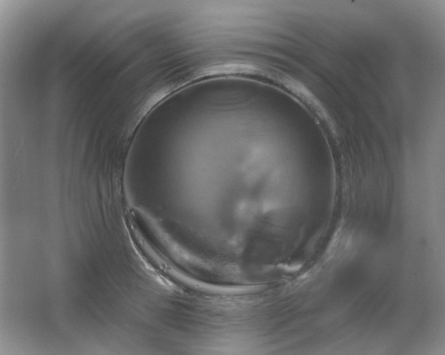 X0000064760945200602101219