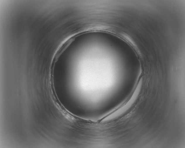 X0000064760948200602101220