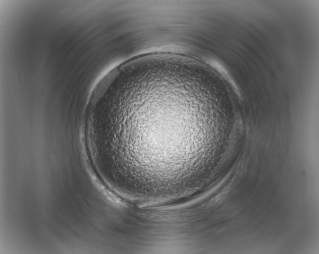 X0000064760952200602101220