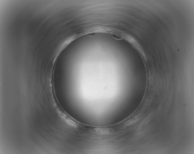 X0000064760954200602101220