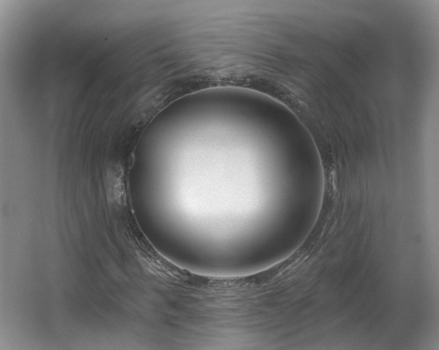 X0000064760963200602101219