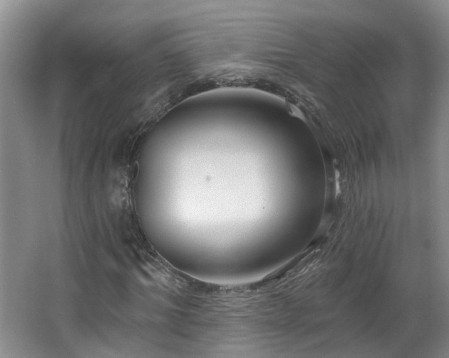 X0000064760964200602101219
