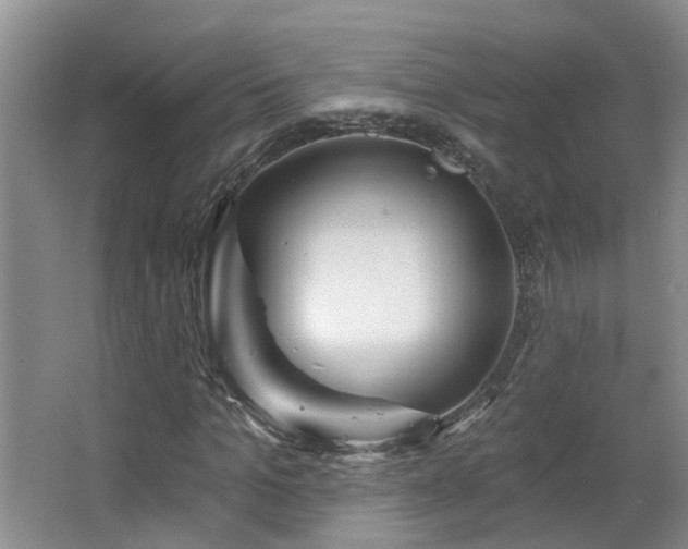 X0000064760965200602101219