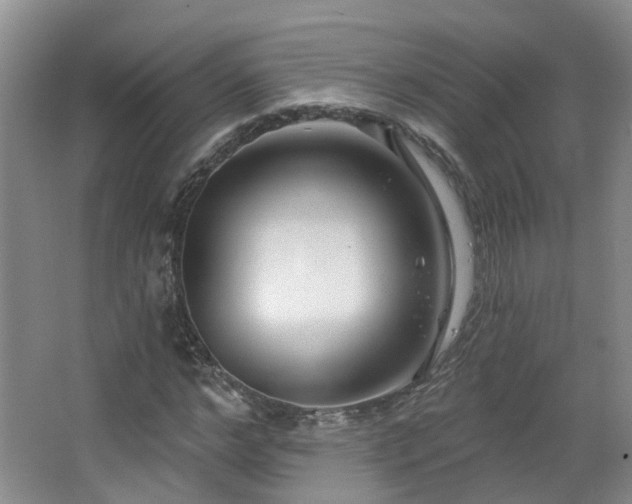 X0000064760968200602101219