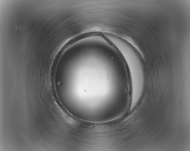 X0000064760972200602101219