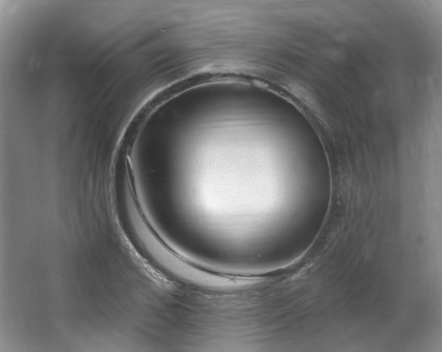 X0000064760976200602101219