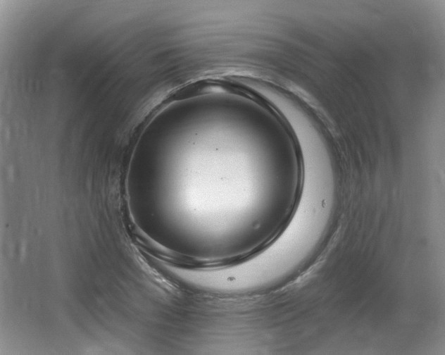 X0000064760977200602101219