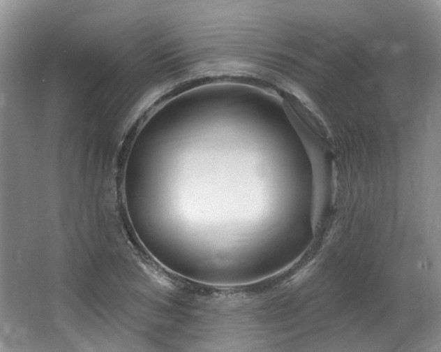 X0000064760978200602101219
