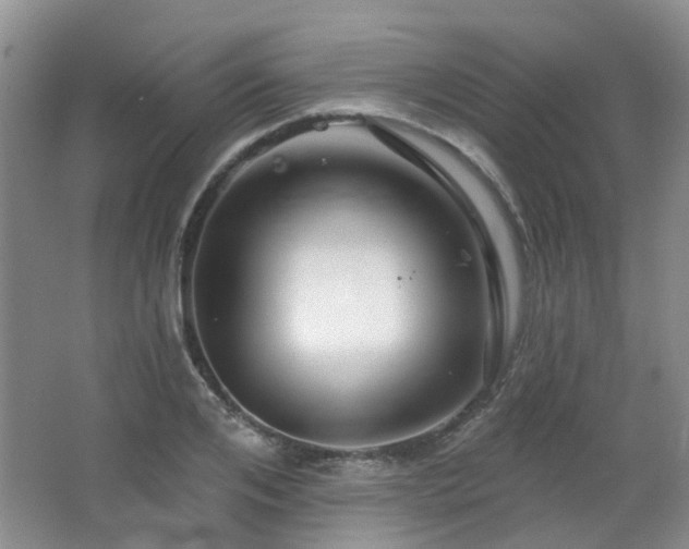 X0000064760984200602101219