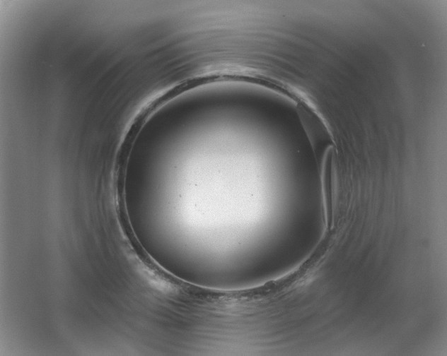 X0000064760987200602101218