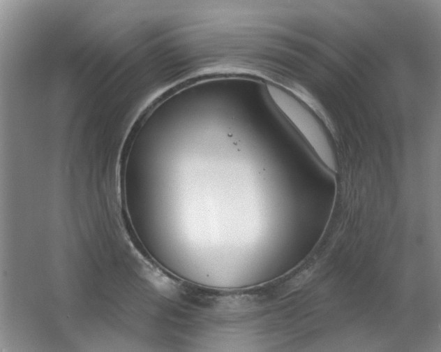 X0000064760988200602101218