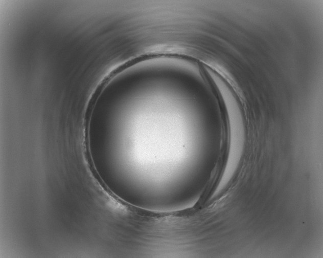 X0000064760992200602101218
