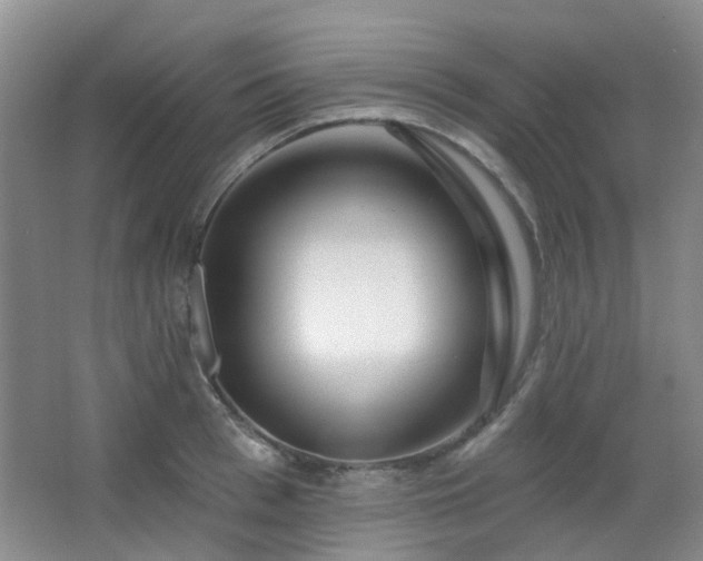 X0000064760993200602101218