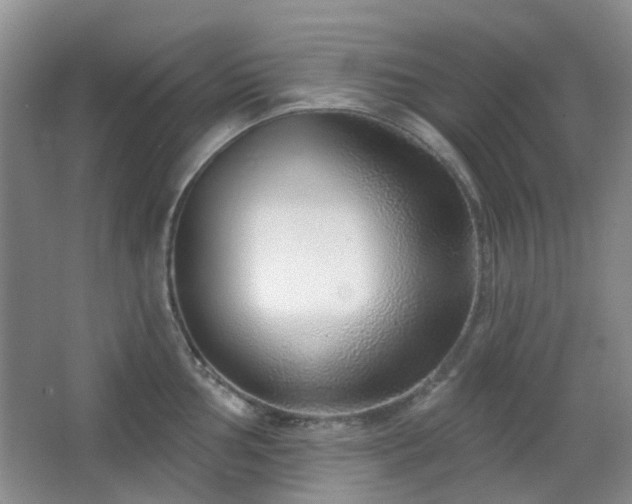 X0000064761002200602101218