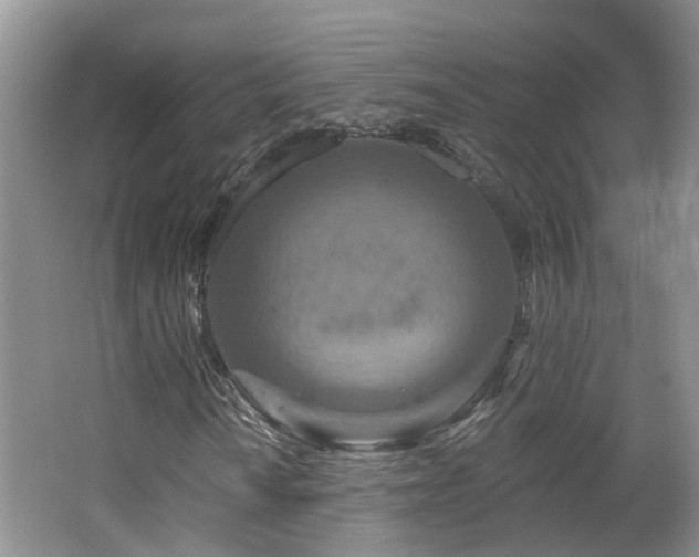 X0000064761010200602101217