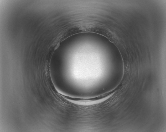 X0000064761012200602101217