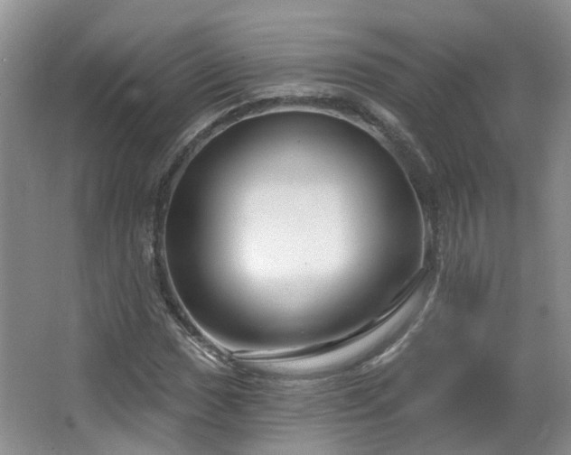 X0000064761017200602101217