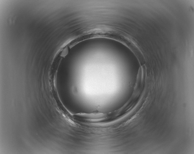 X0000064761018200602101217