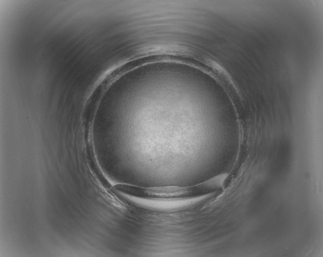X0000064761019200602101217