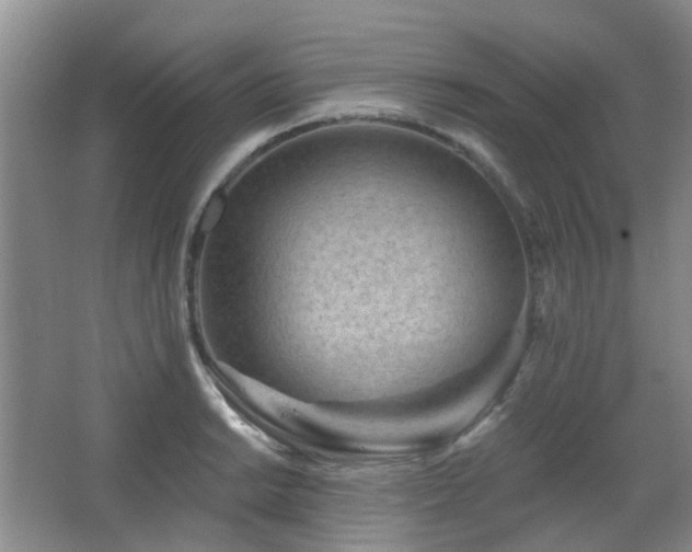 X0000064761038200602101218