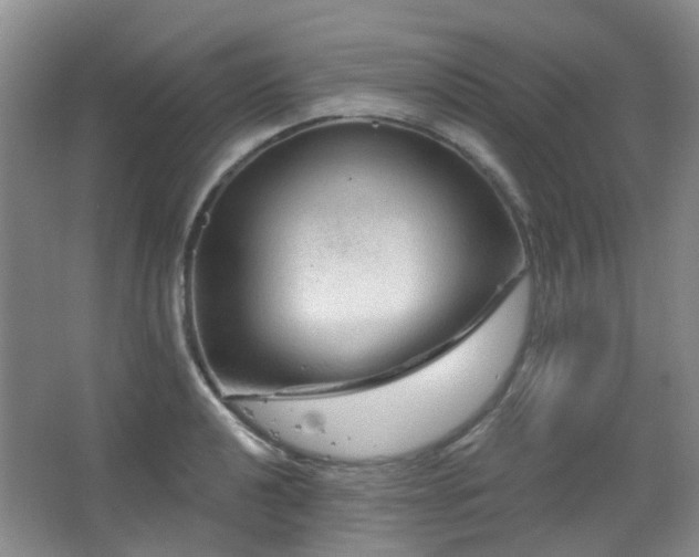 X0000064761040200602101218