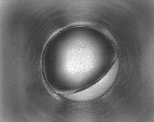 X0000064761044200602101218