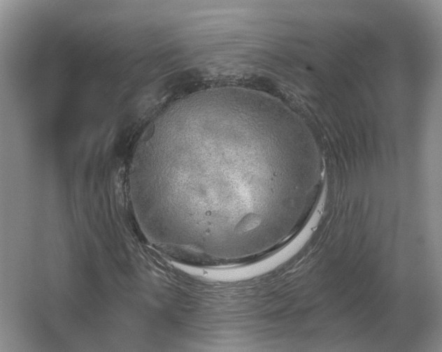X0000064761059200602101217