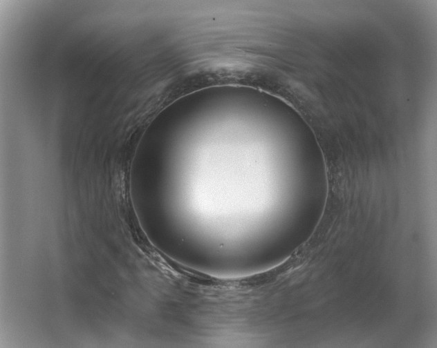 X0000064761061200602101217
