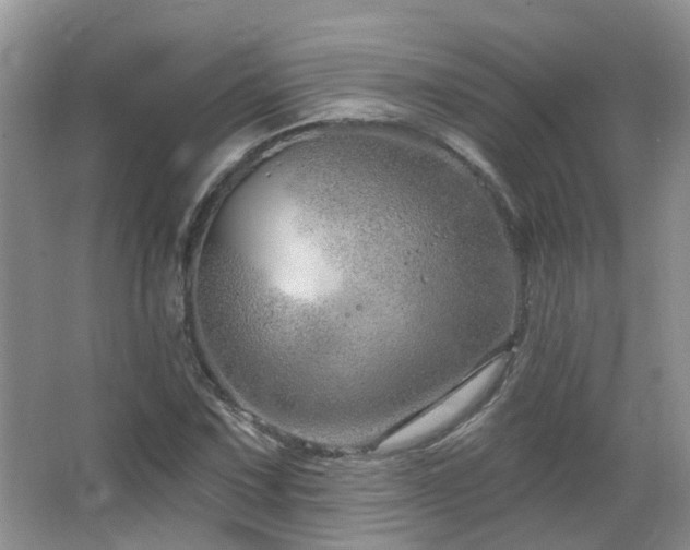 X0000064761067200602101217