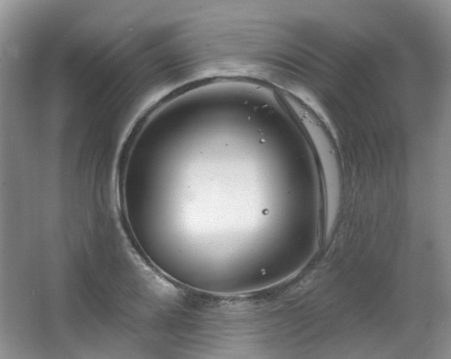 X0000064761080200602101217