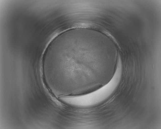 X0000064761083200602101217
