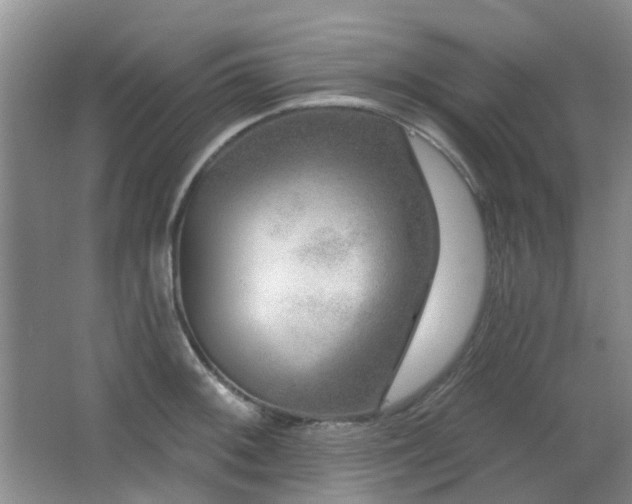 X0000064761092200602101217