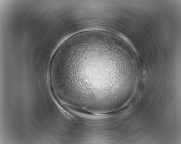 X0000064761101200602101217