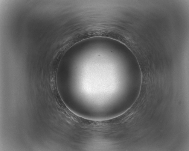 X0000064761109200602101216