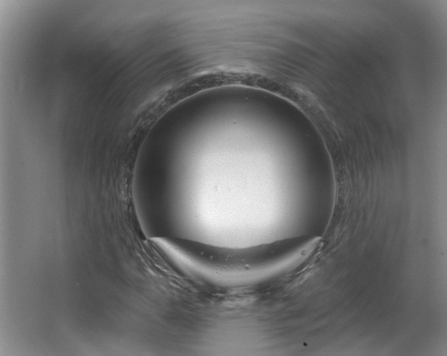 X0000064761110200602101216