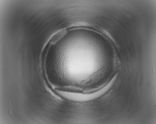 X0000064761116200602101216