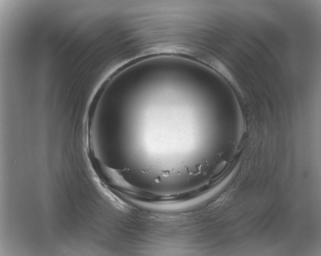 X0000064761132200602101216