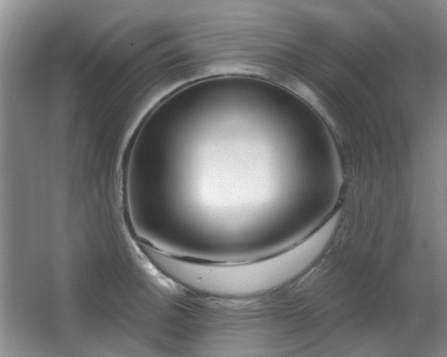 X0000064761140200602101216