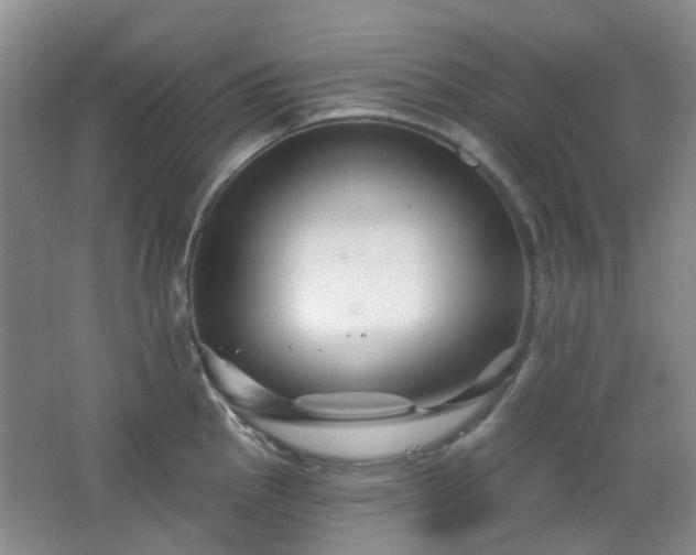 X0000064761145200602101216