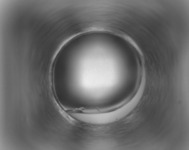 X0000064761148200602101216