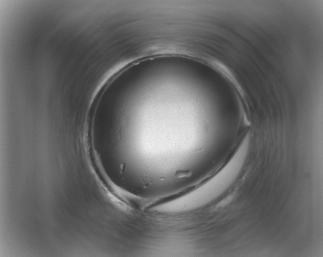X0000064761149200602101216