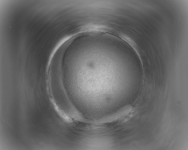 X0000064761152200602101217