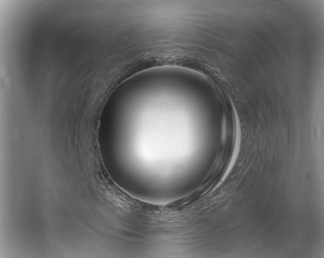 X0000064761153200602101216